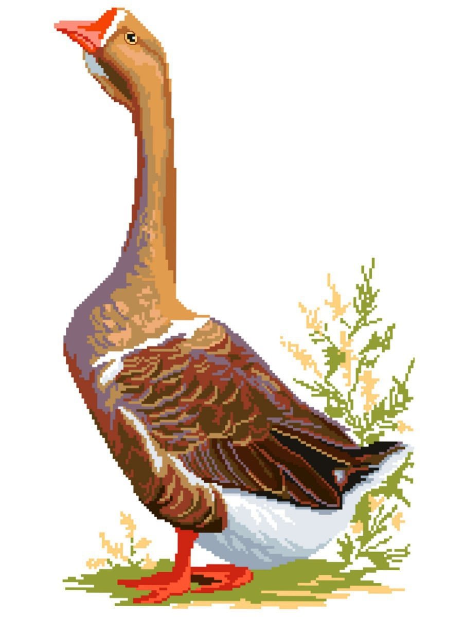 Гусь для детского сада