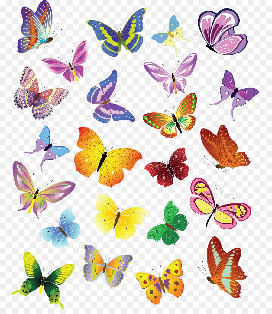 Разноцветные бабочки