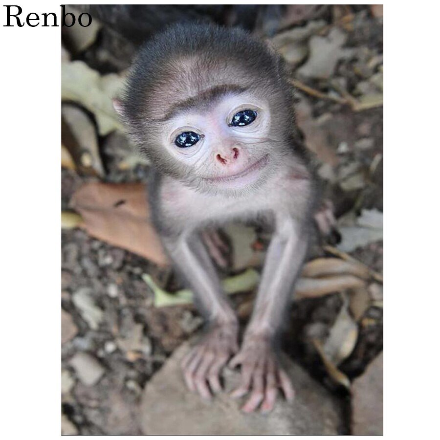 Открытки про зарплату прикольные