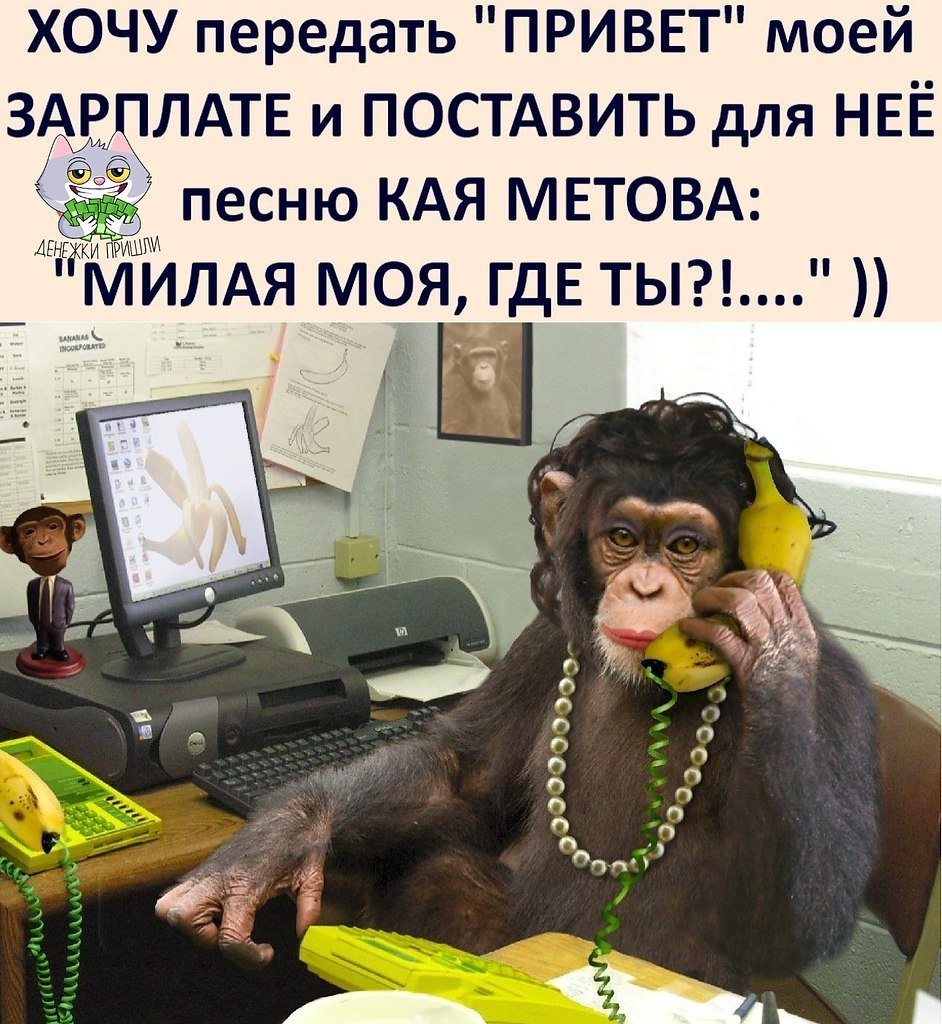 Карикатуры про работу и зарплату