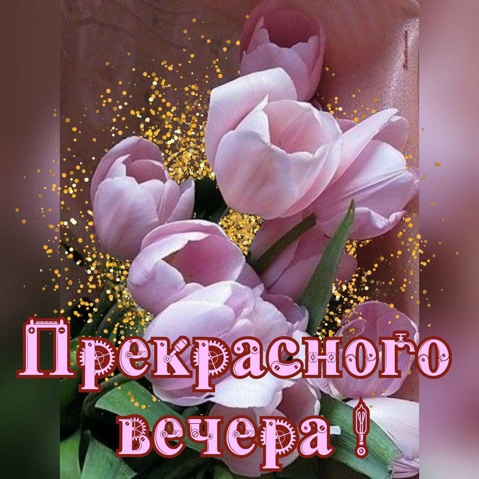 Красивые пожелания доброго вечера