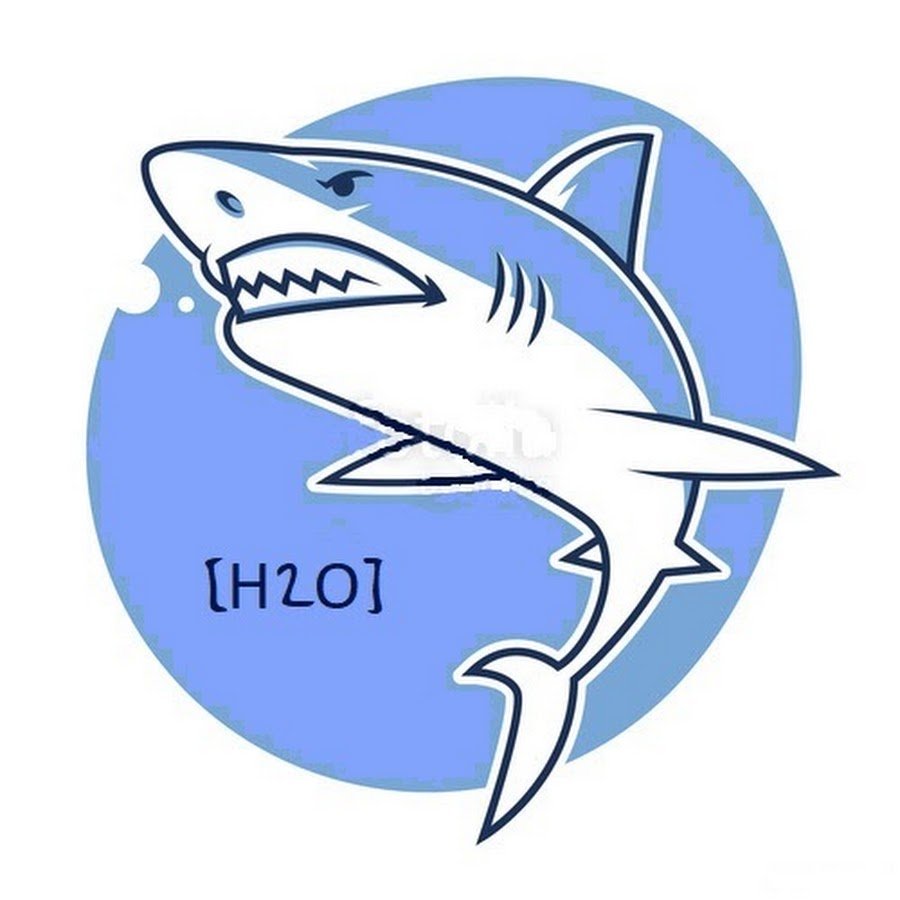 Карточка акула