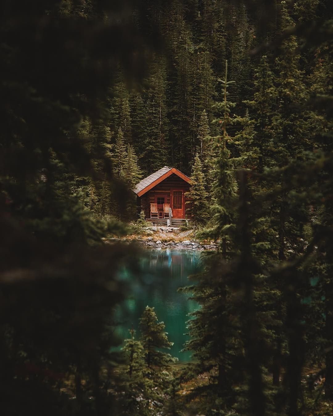 Домик в лесу у озера