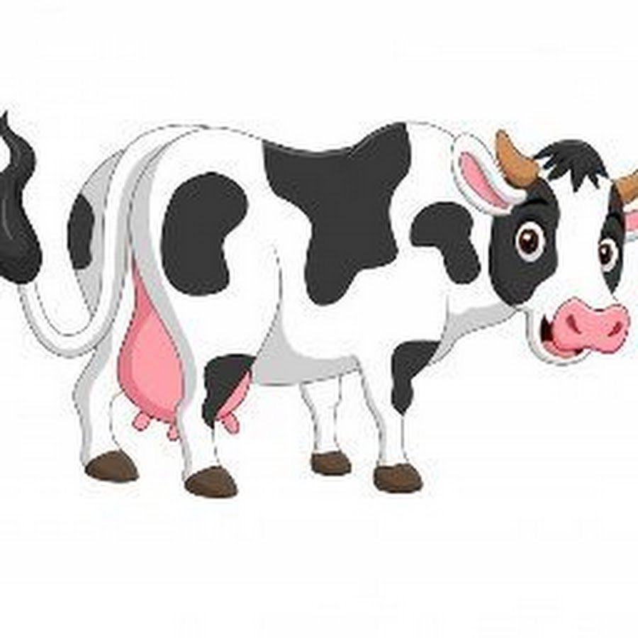 Корова мультяшная на белом фоне