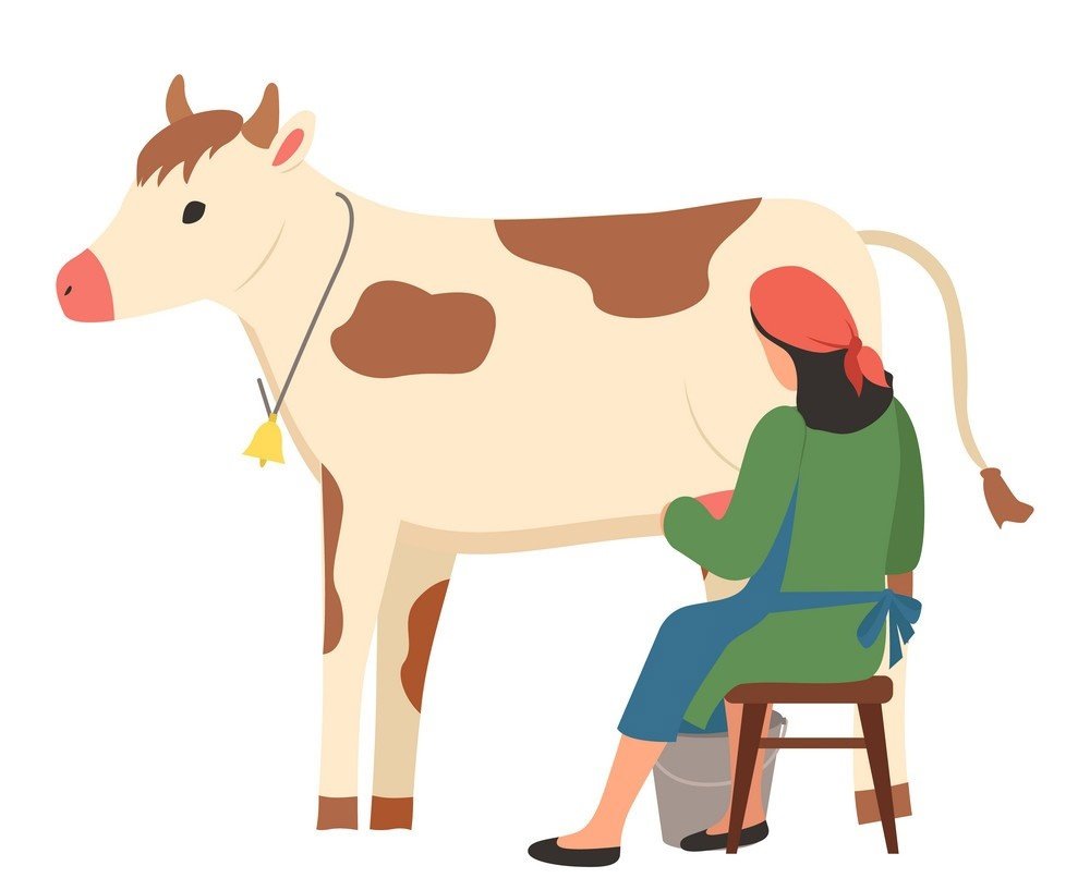 Корова на белом фоне мультяшный