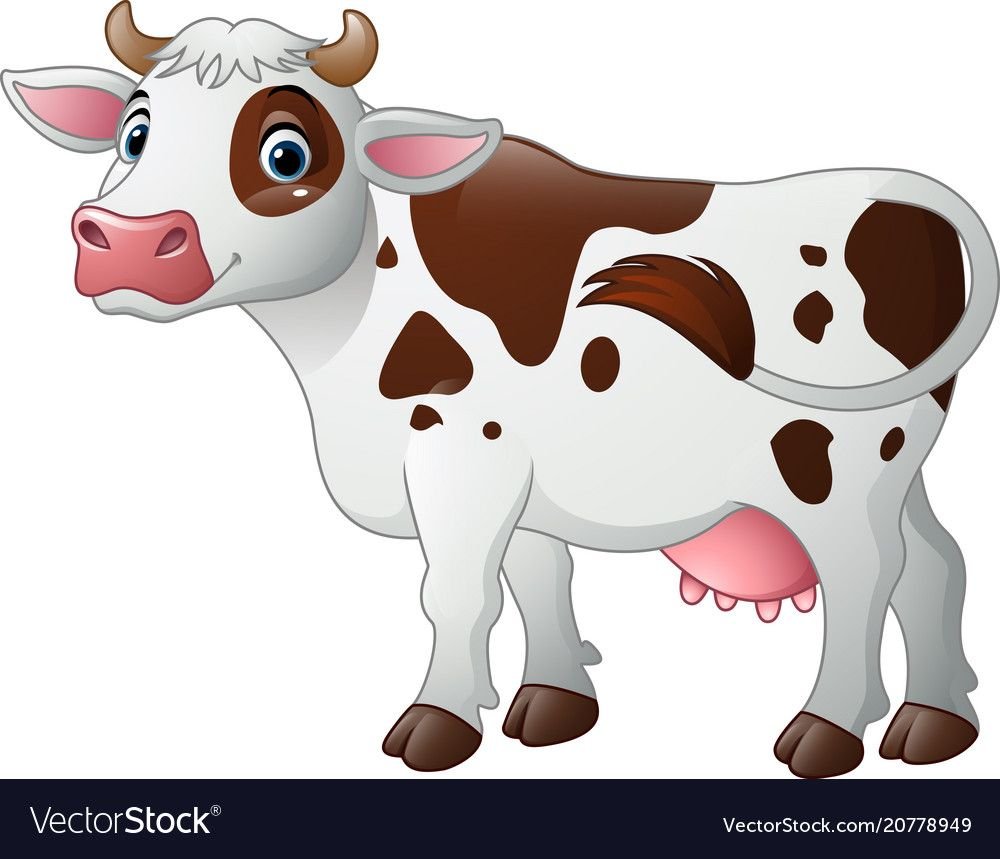 Корова ест траву на белом фоне