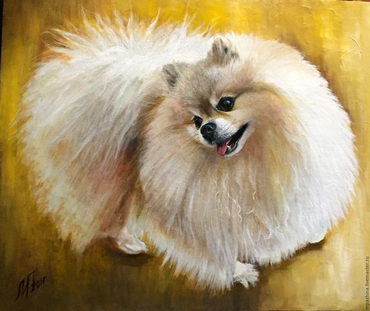 Шпиц померанский Art