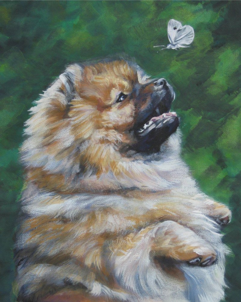 Померанский шпиц портрет