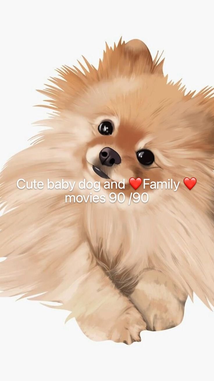 Как нарисовать померанского шпица и себя