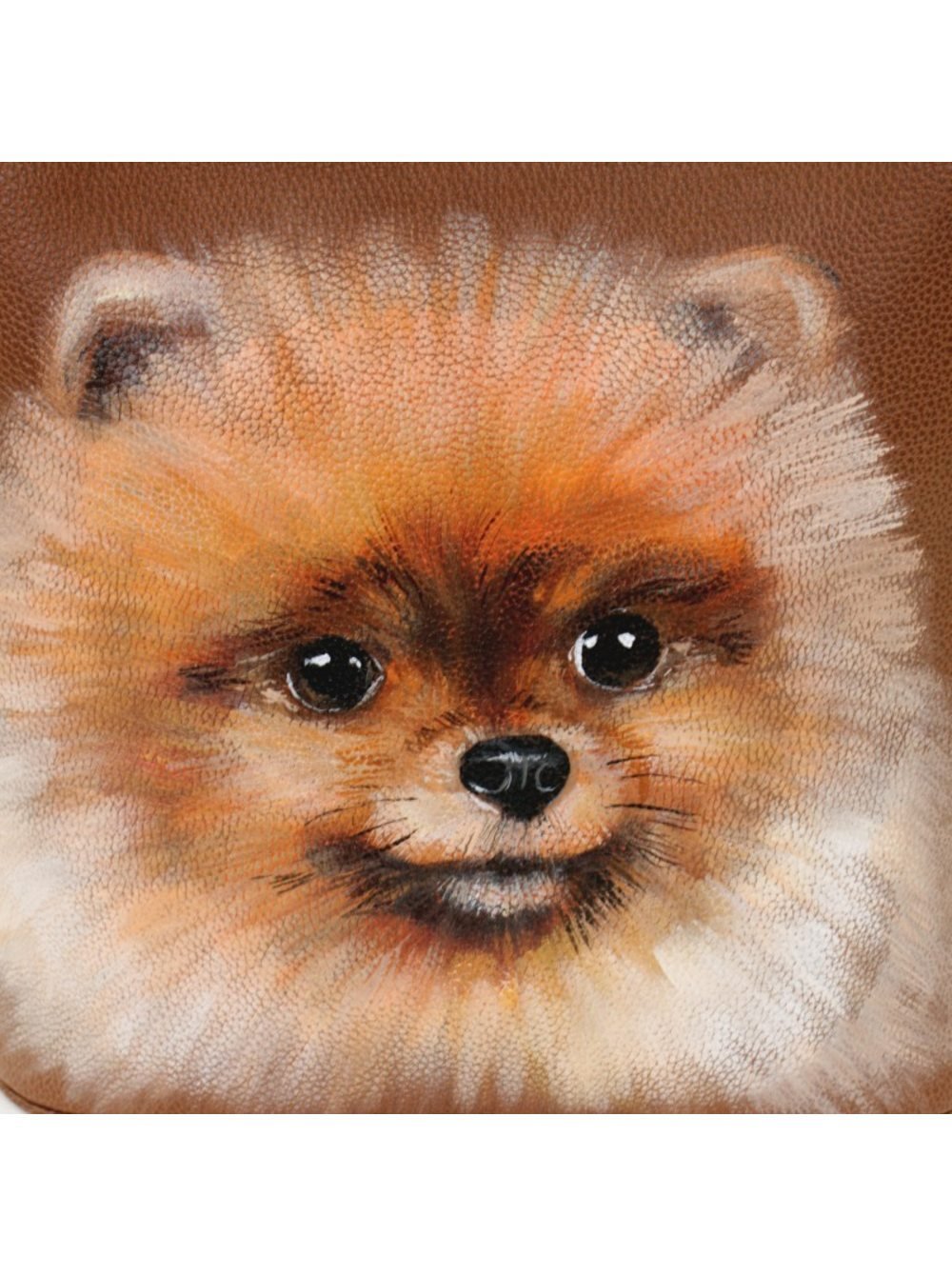 Шпиц картинка рисунок