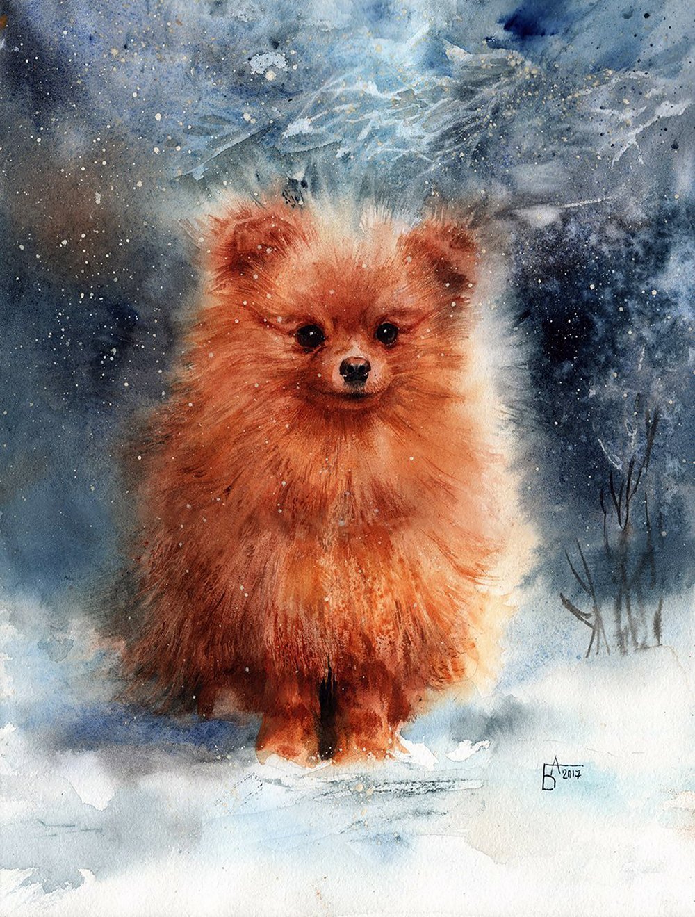 Японский шпиц рыжий