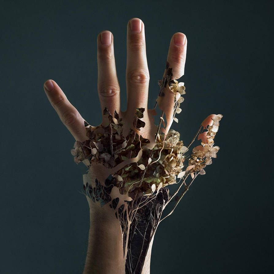 Руки Эстетика