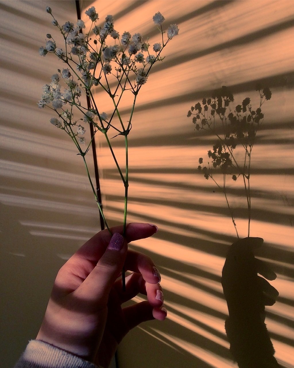 Эстетика из пинтереста