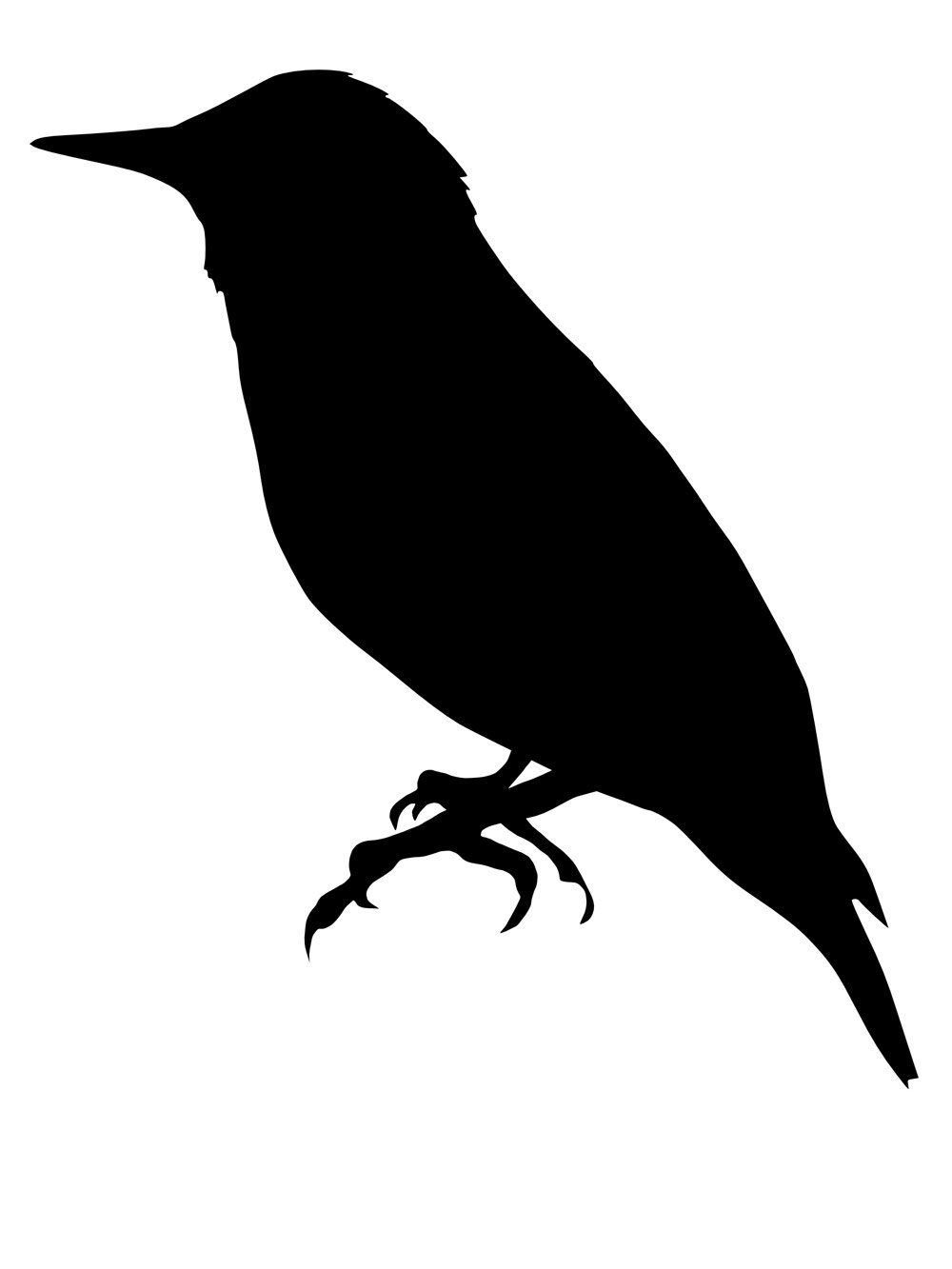 Скворец силуэт для детей