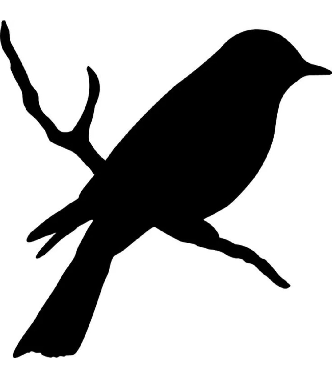 Трафарет птицы