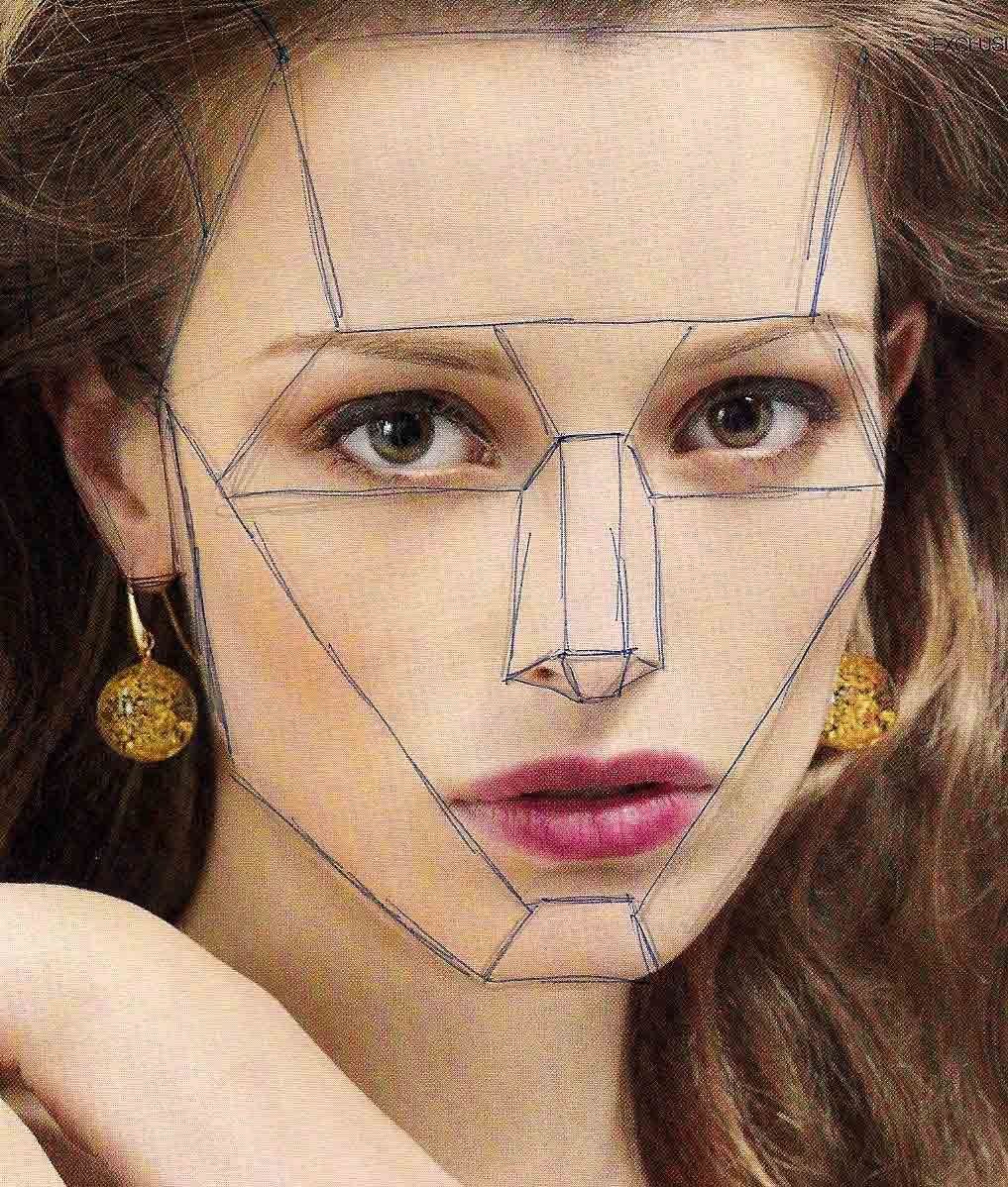 Пропорции красивого лица