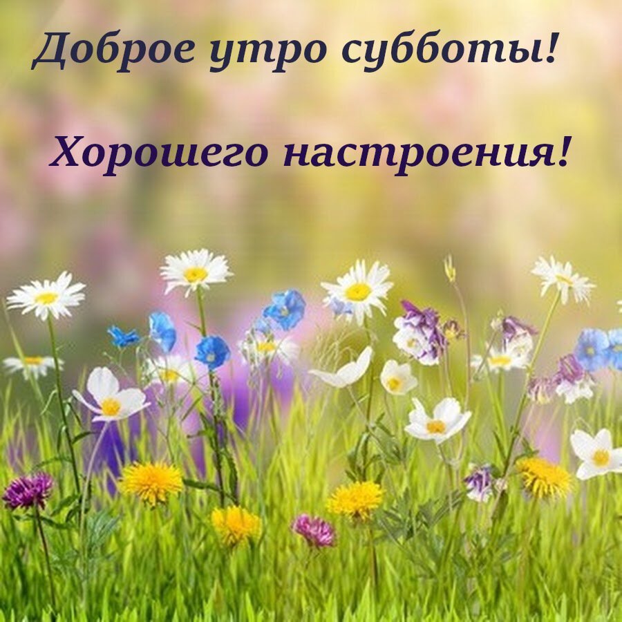 Доброго субботнего утра и отличного дня