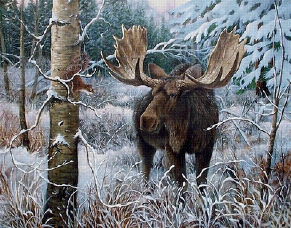 Лисица в зимнем лесу