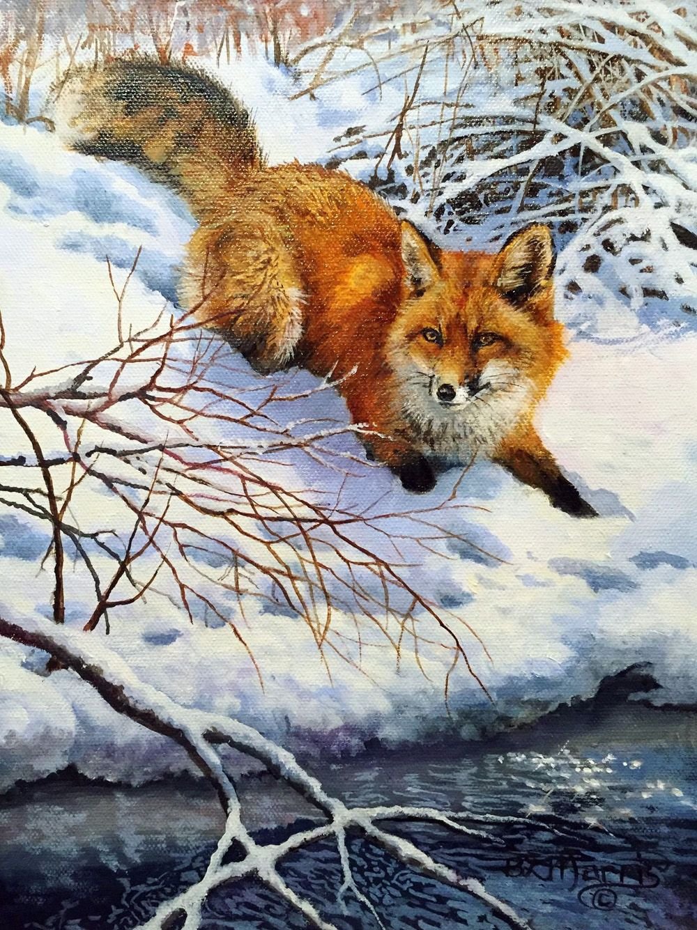 Художник .Бонни Маррис (Bonnie Marris)