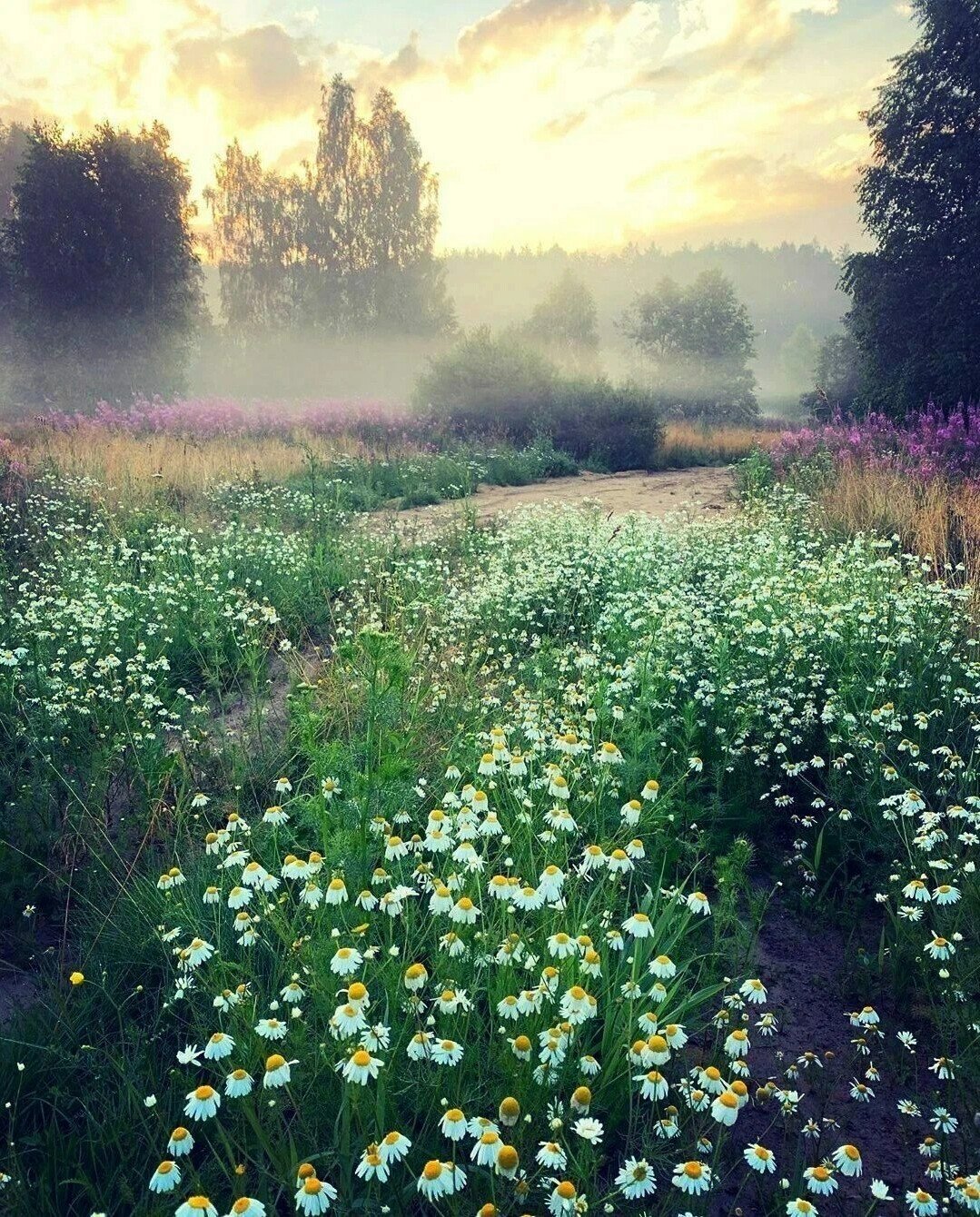 Красивый закат в деревне
