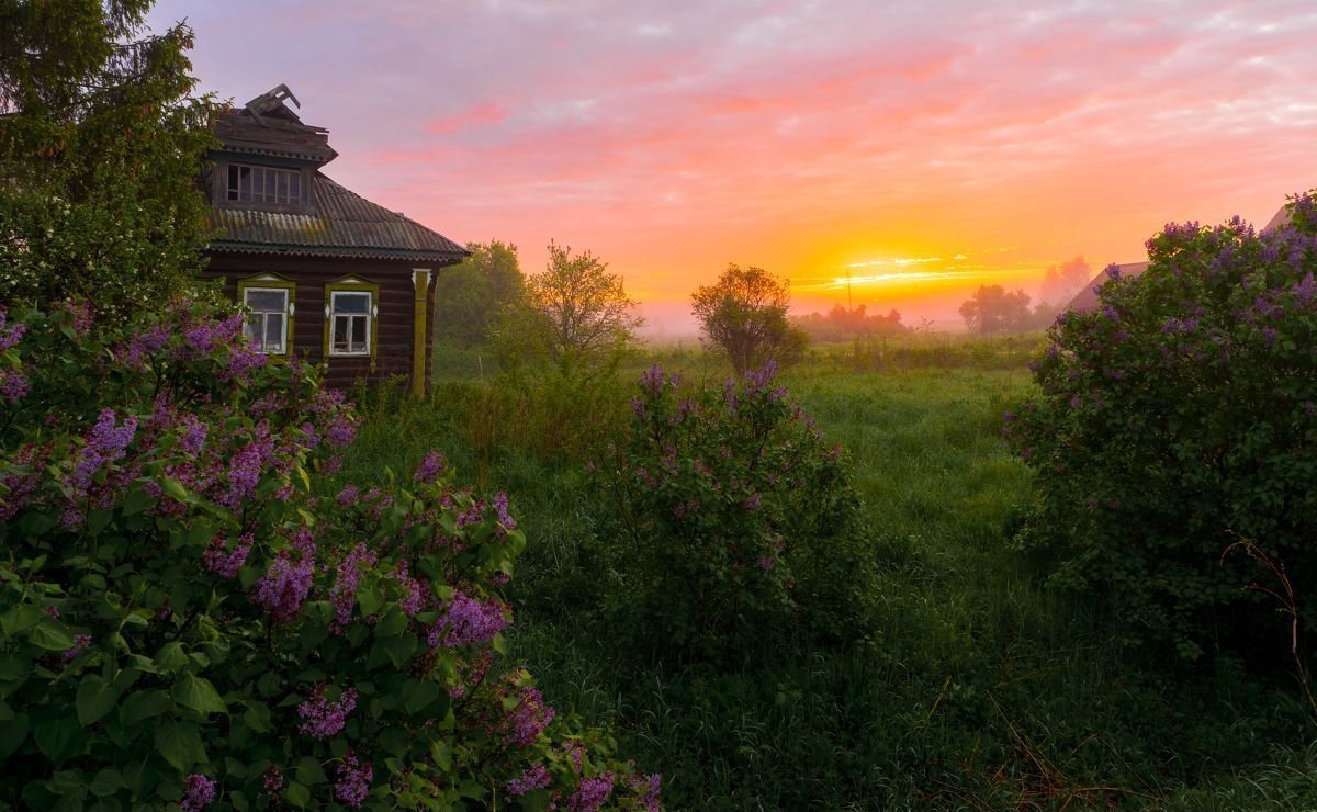 Солнечное утро в деревне