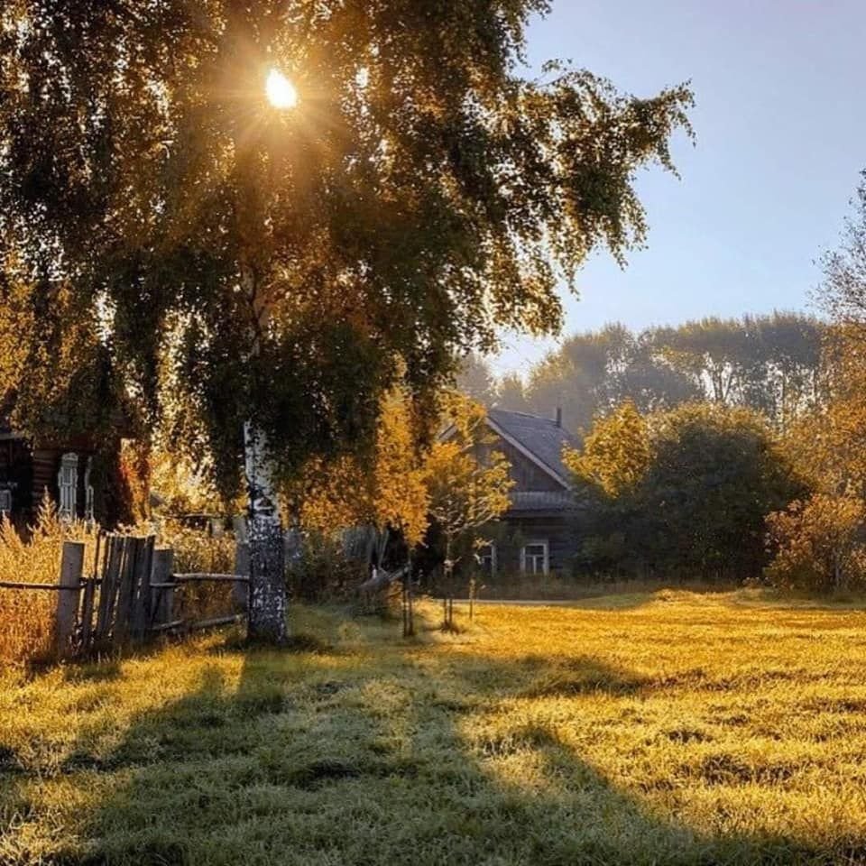 Утренний рассвет в деревне