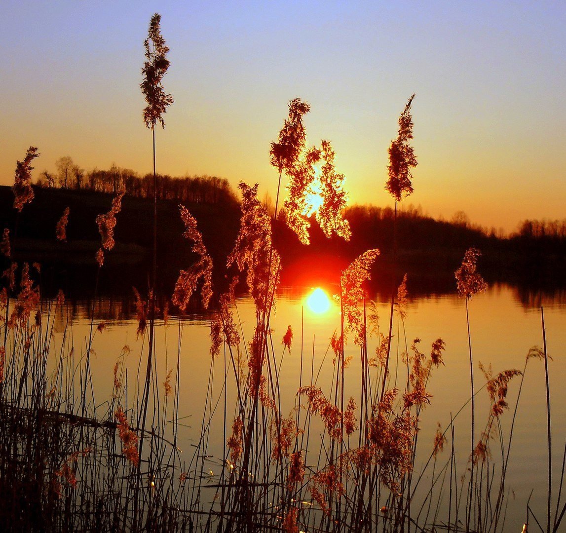 Красивый рассвет в деревне