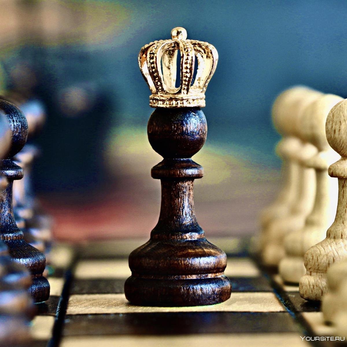 Шахматы пешка ферзь