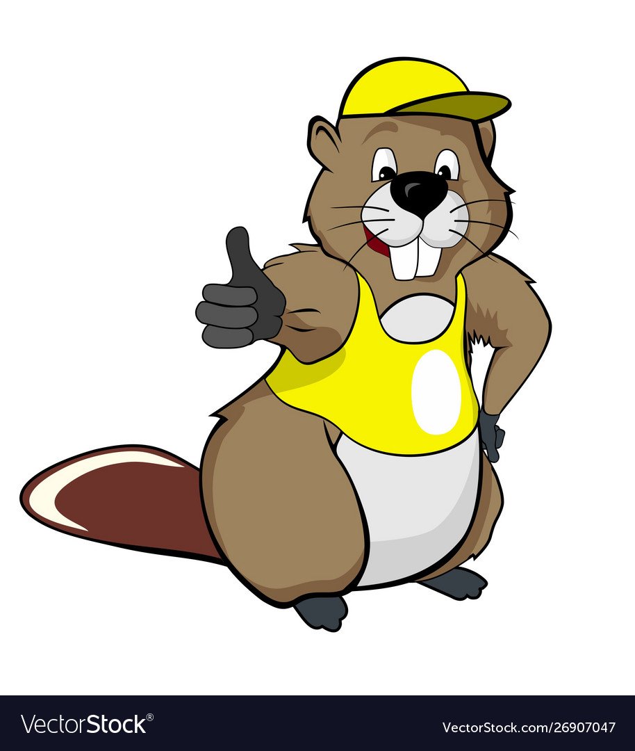 Бобер в каске