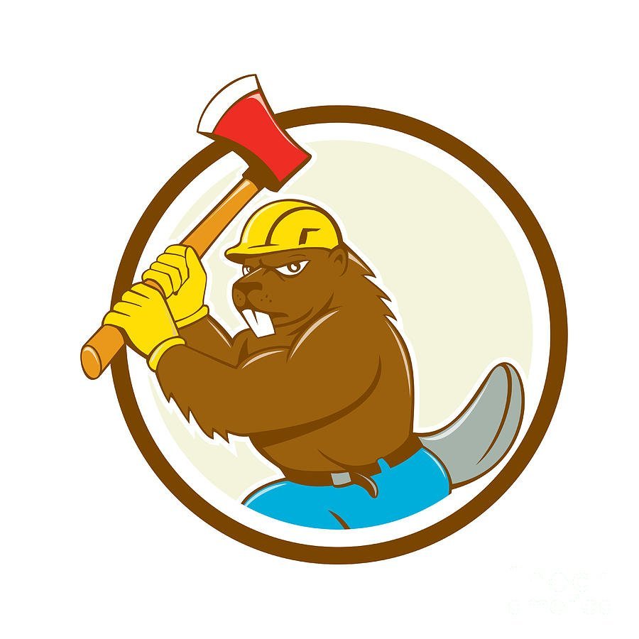 Бобр в каске