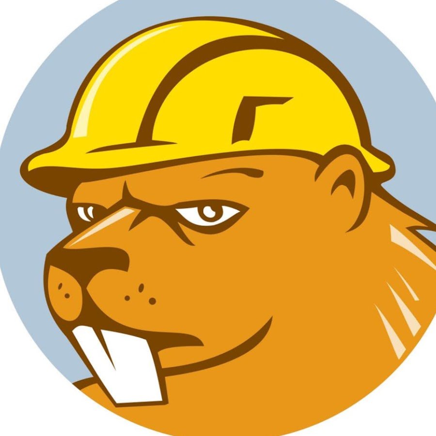 Бобер в строительной каске