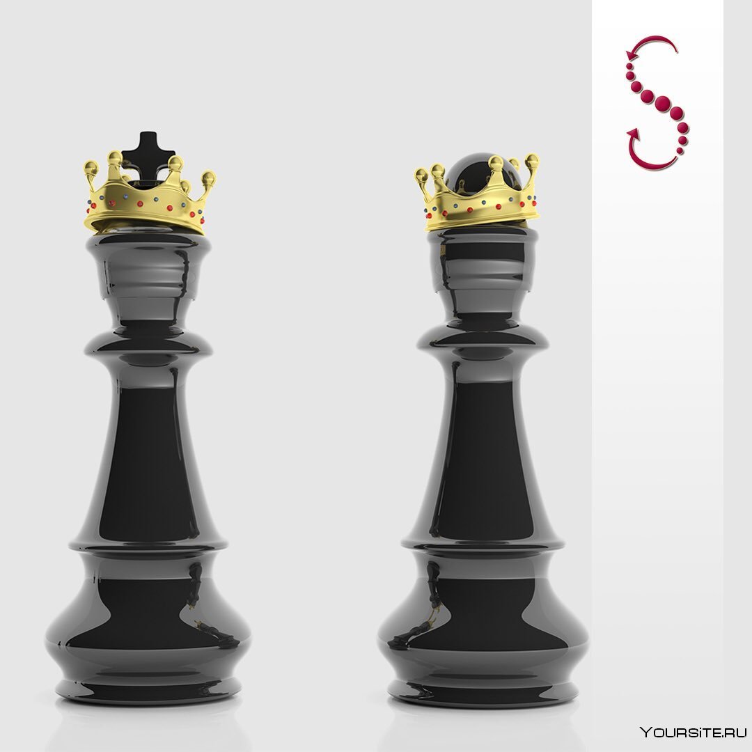Шахматы черный Король белый ферзь
