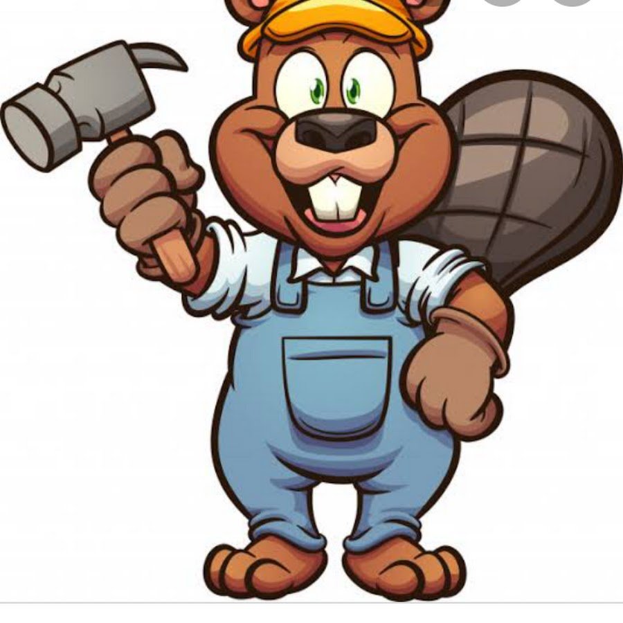 Бобер в очках