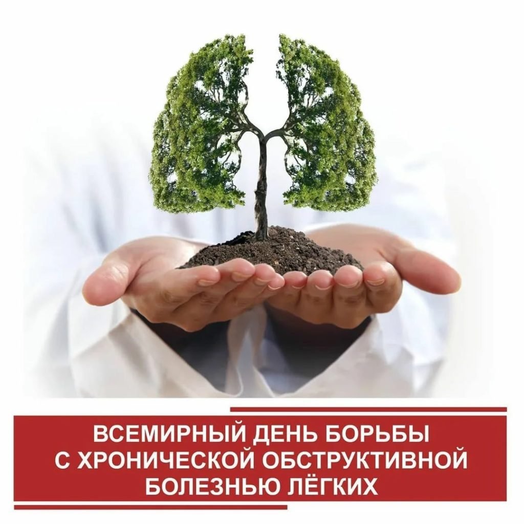 Вырубленный лес