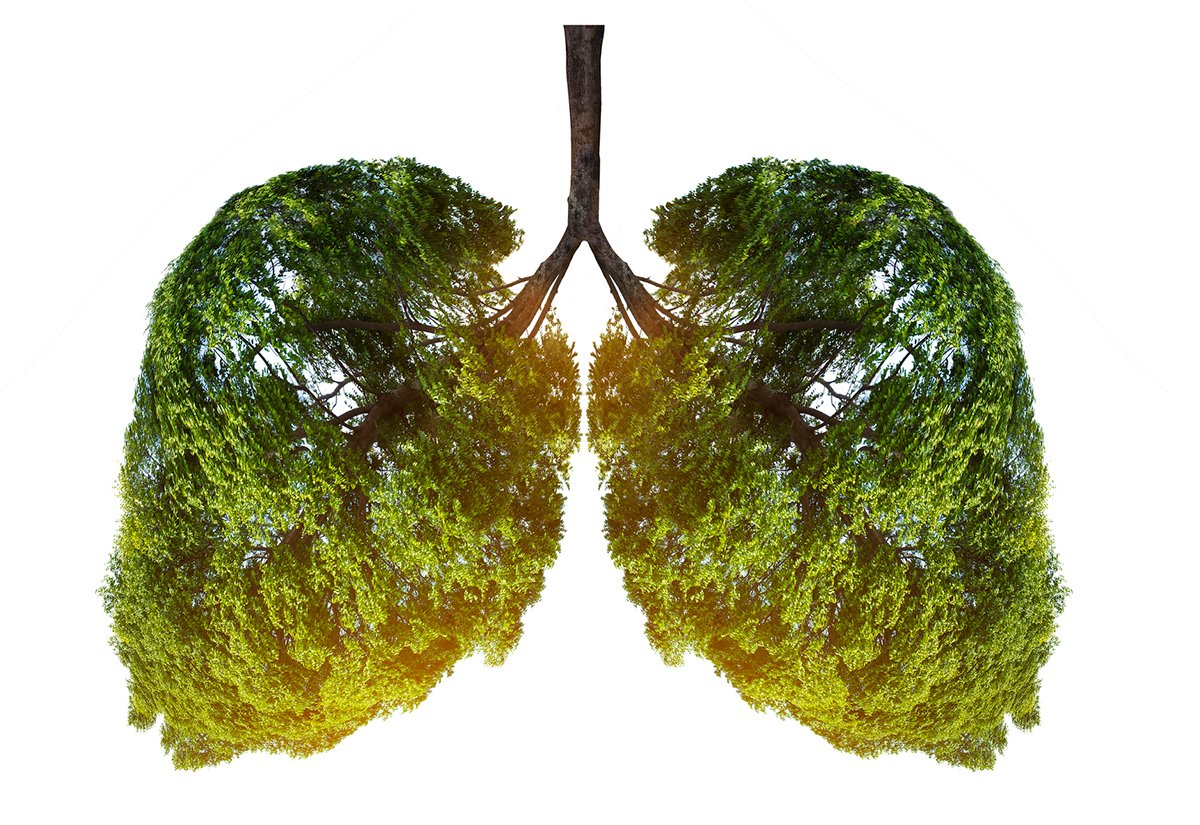 Планета с деревьями