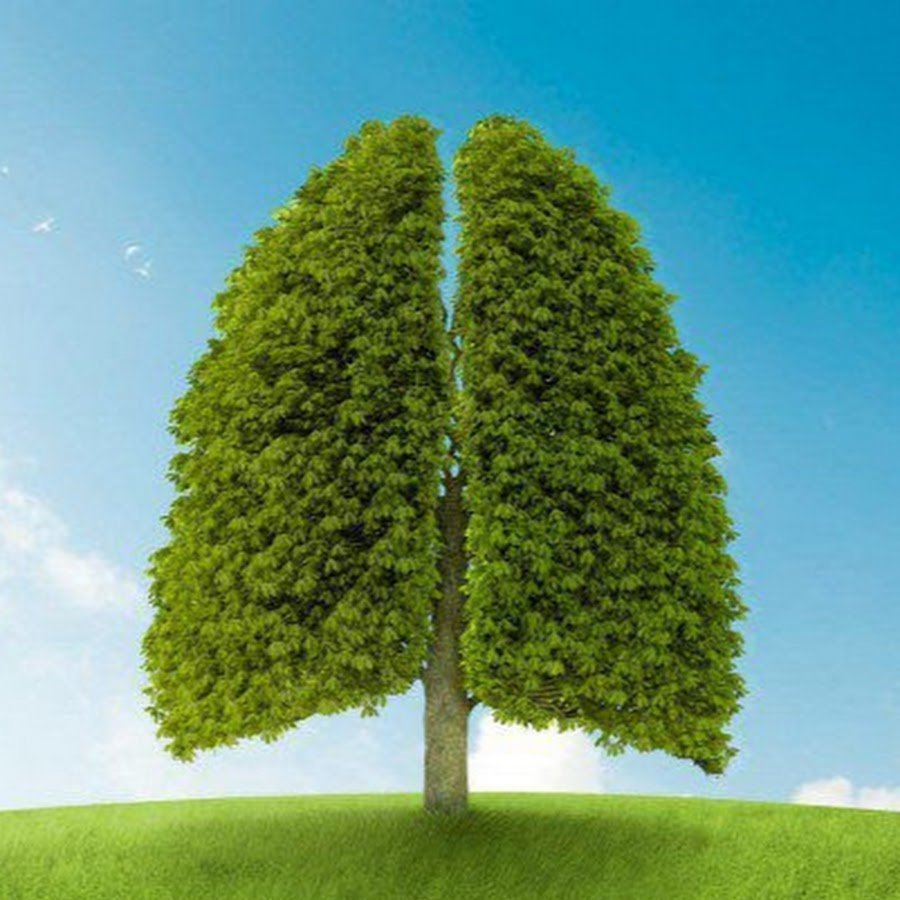 Дерево в виде Планета