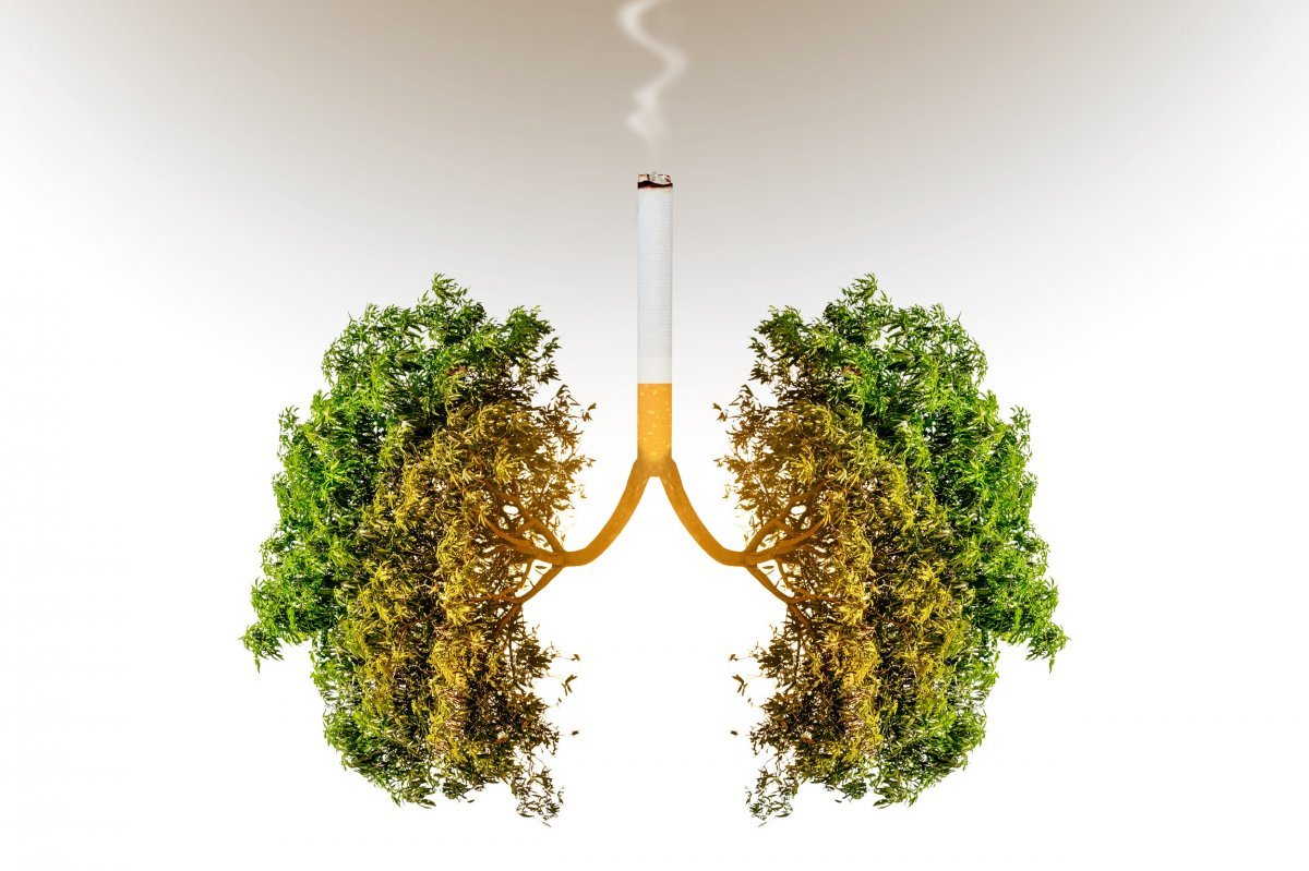 Планета с деревьями