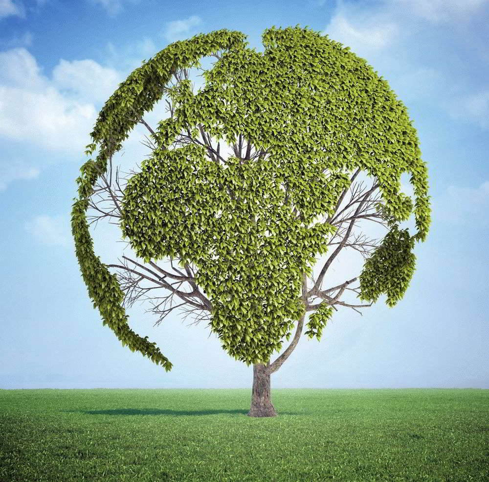 Деревья легкие планеты картинки