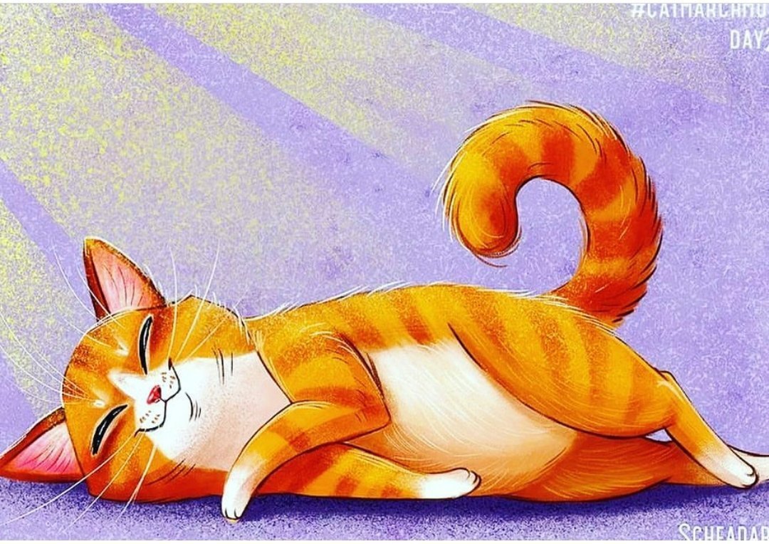 Шотландская Хосико рыжий