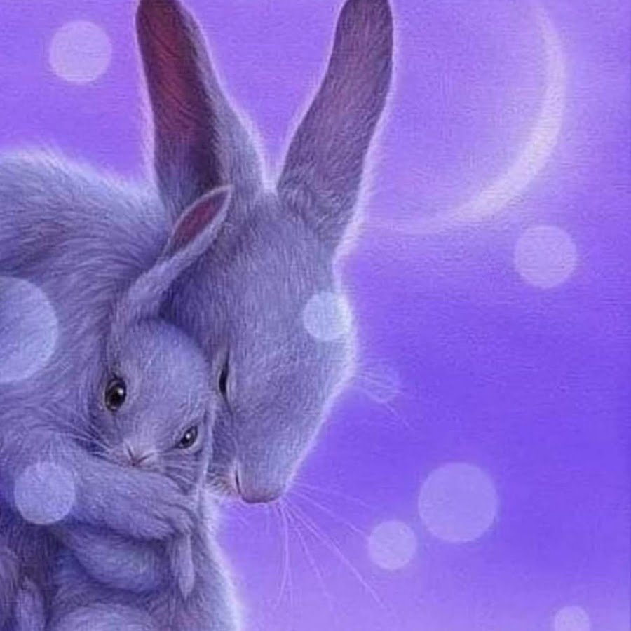 Зайчик спит