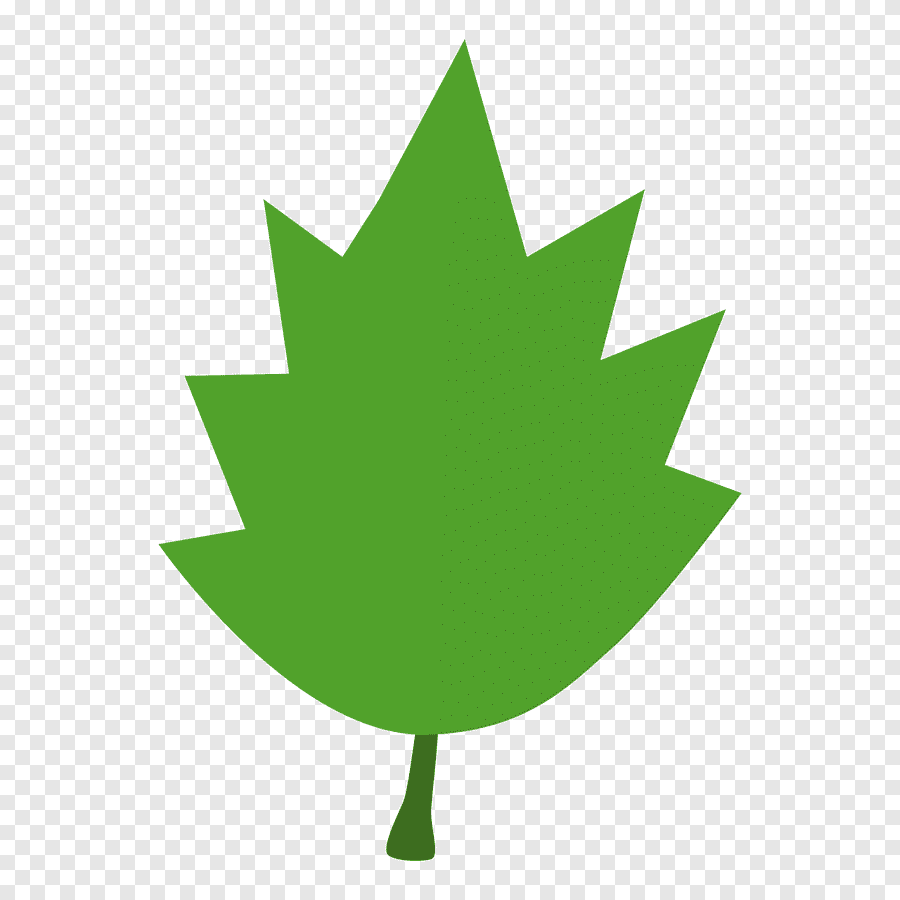 Лист дерева svg