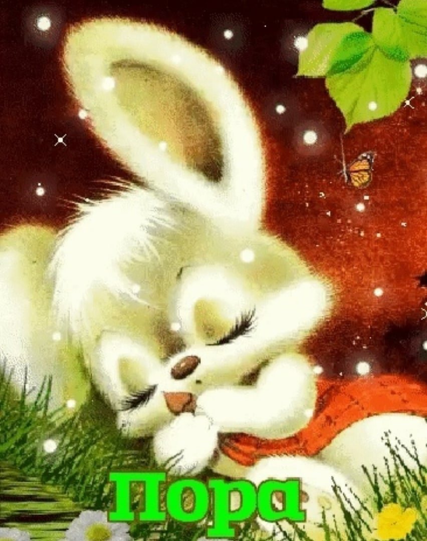 Спокойной ночи кот