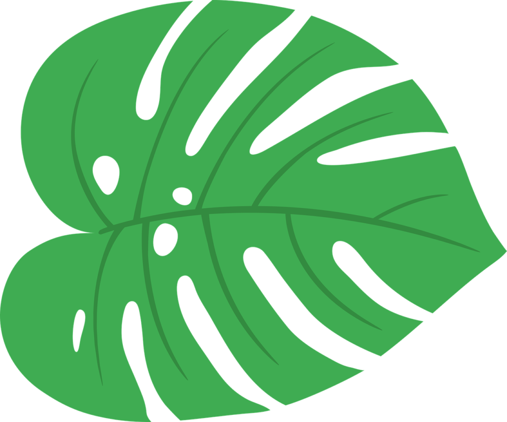 Монстера Вьюнок