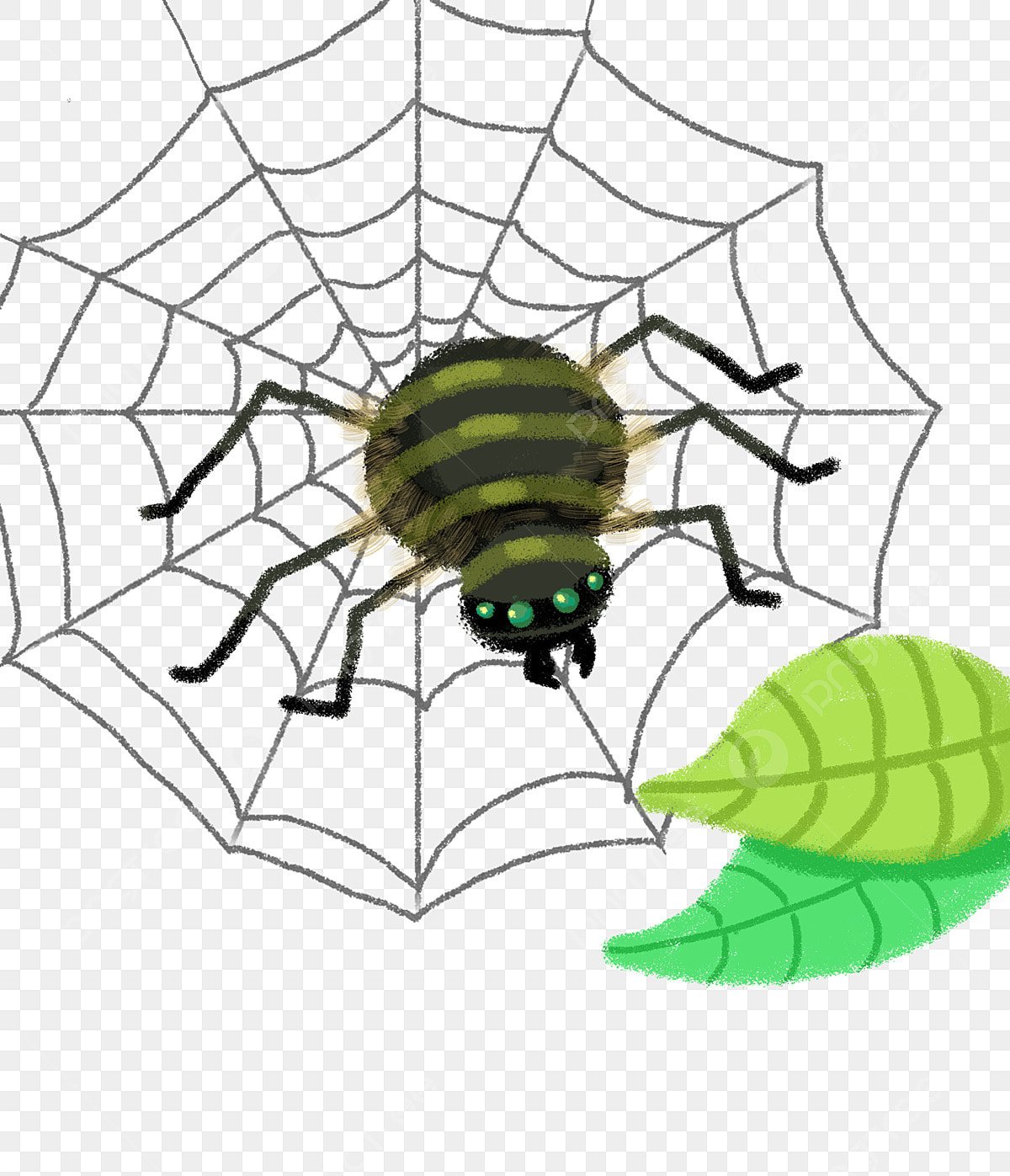 Паучок смайлик