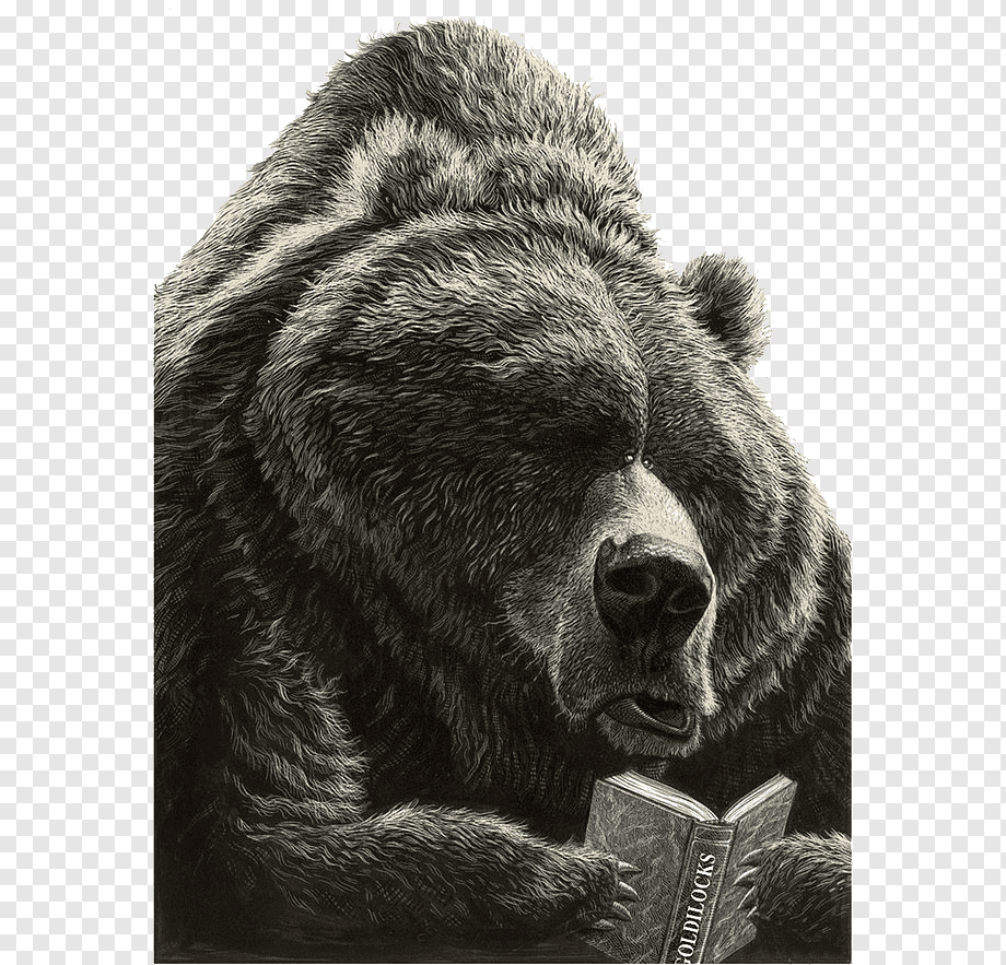 Медведь с книгой