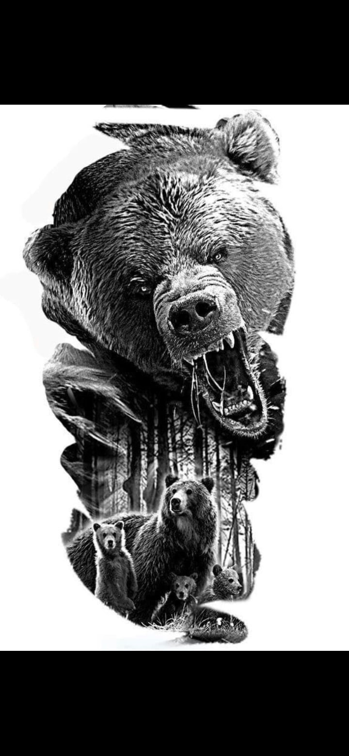 Оскал медведя эскиз