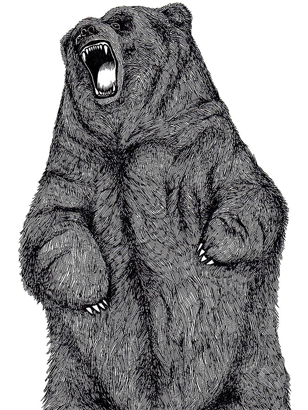 Медведь иллюстрация