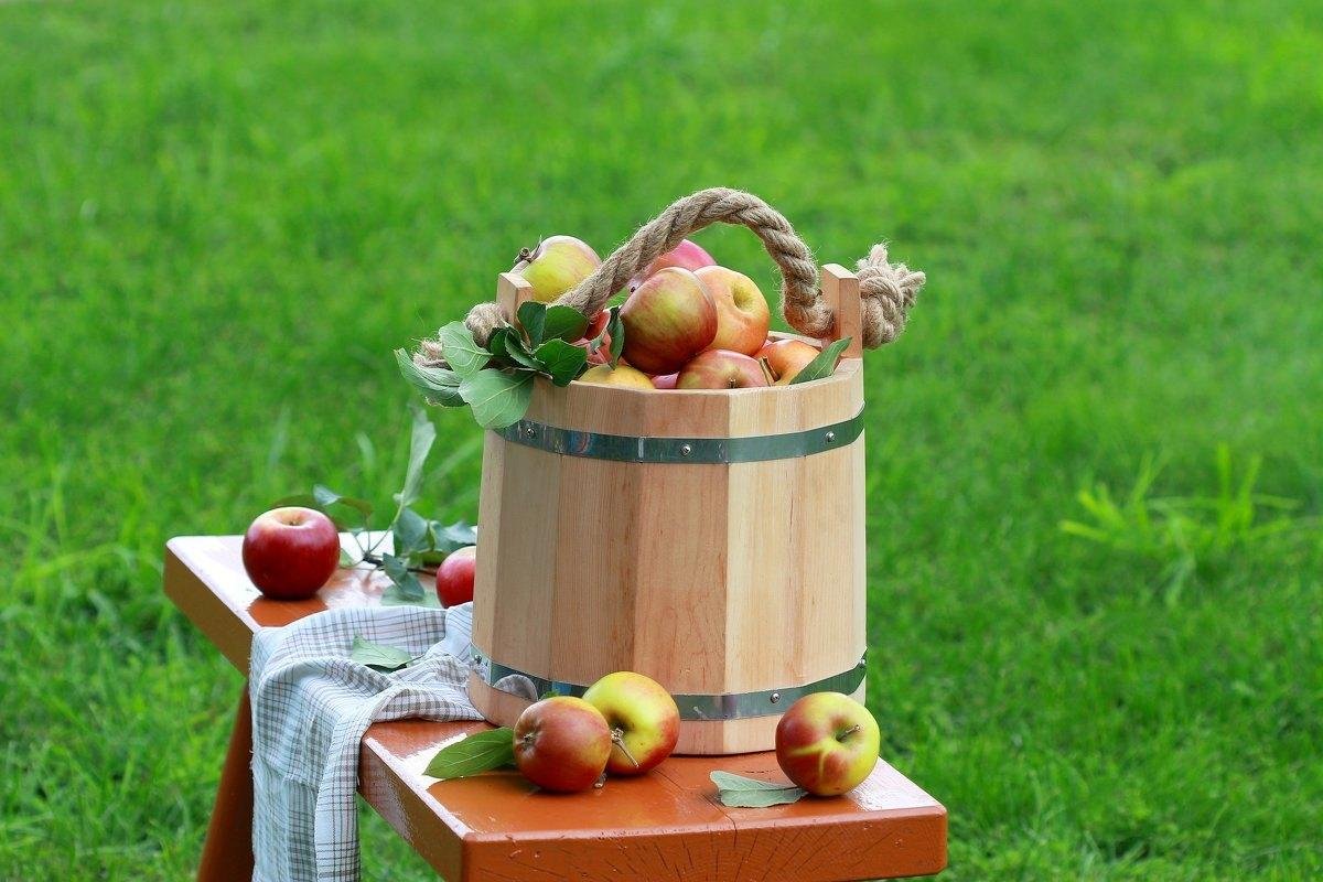 Яблочный спас