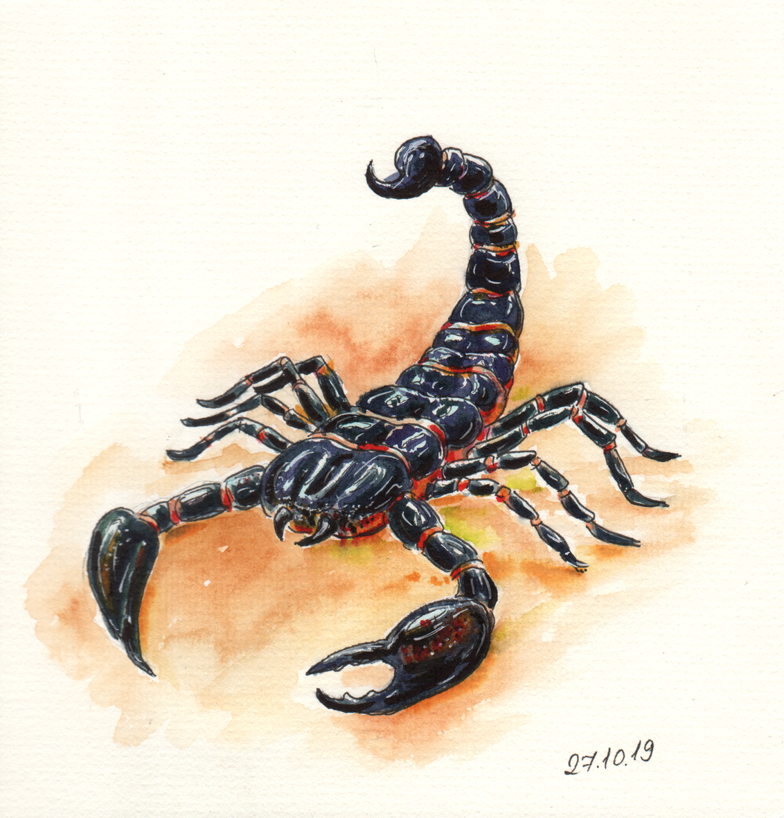 Скорпион рисунок