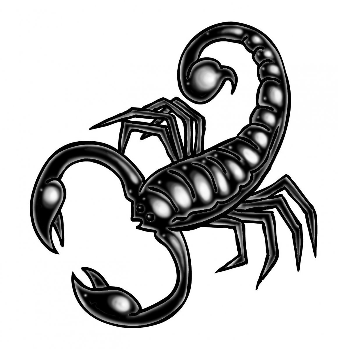 Скорпион рисунок